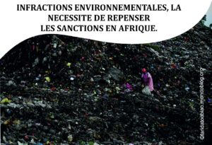 Article : Infractions environnementales, la n&eacute;cessit&eacute; de repenser les sanctions en Afrique.